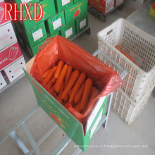 2017 рынка свежей моркови в Корее 